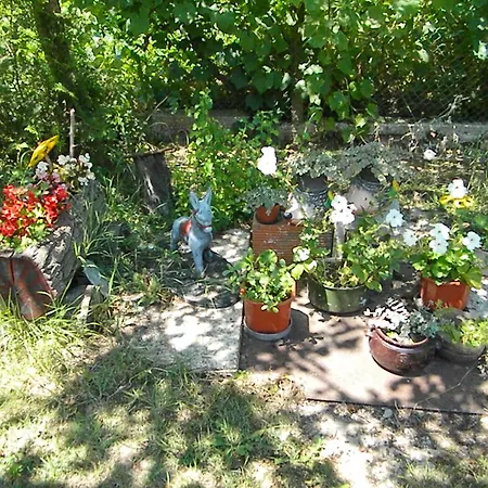 Dyadovata Kashta Золотые Пески