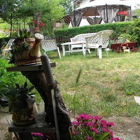 Dyadovata Kashta Guest house *